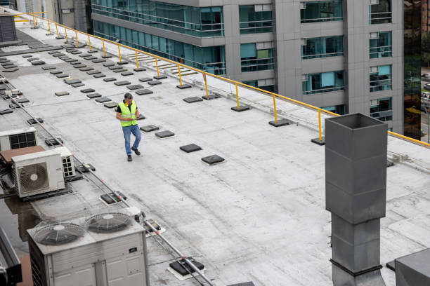 Best Storm Damage Roof Repair  in New Market, VA