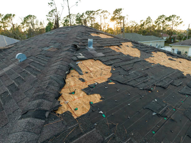 Best Asphalt Shingle Roofing  in New Market, VA